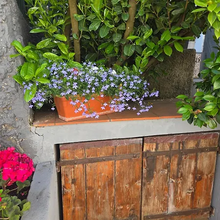 La Perla House 3* Anacapri (Isola di Capri)